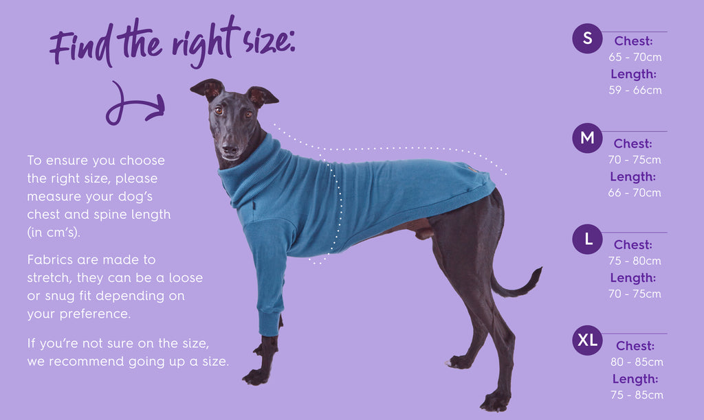 kazoo greyhound jumper size guide