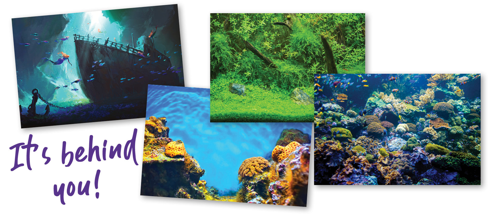 printed out fish tank backgrounds for decorating a tank