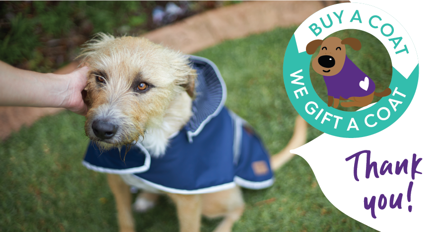 Kazoo dog coat giveaway to rescue shelters