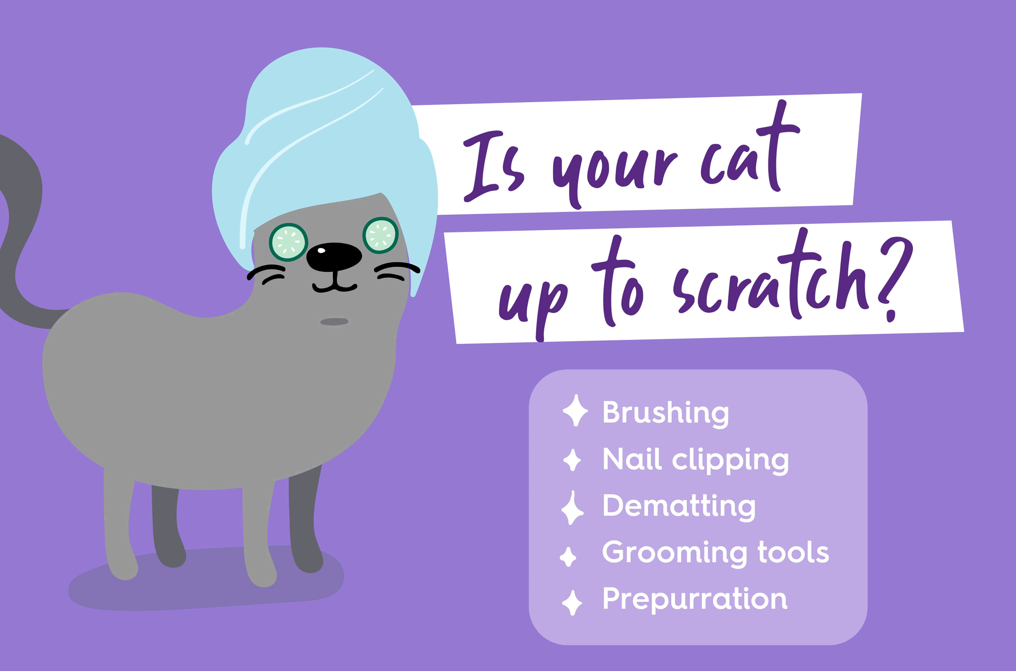 Is your cat up to scratch?