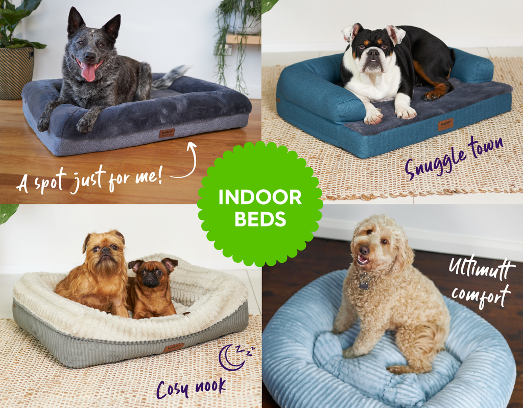 Collage of dogs on different indoor beds