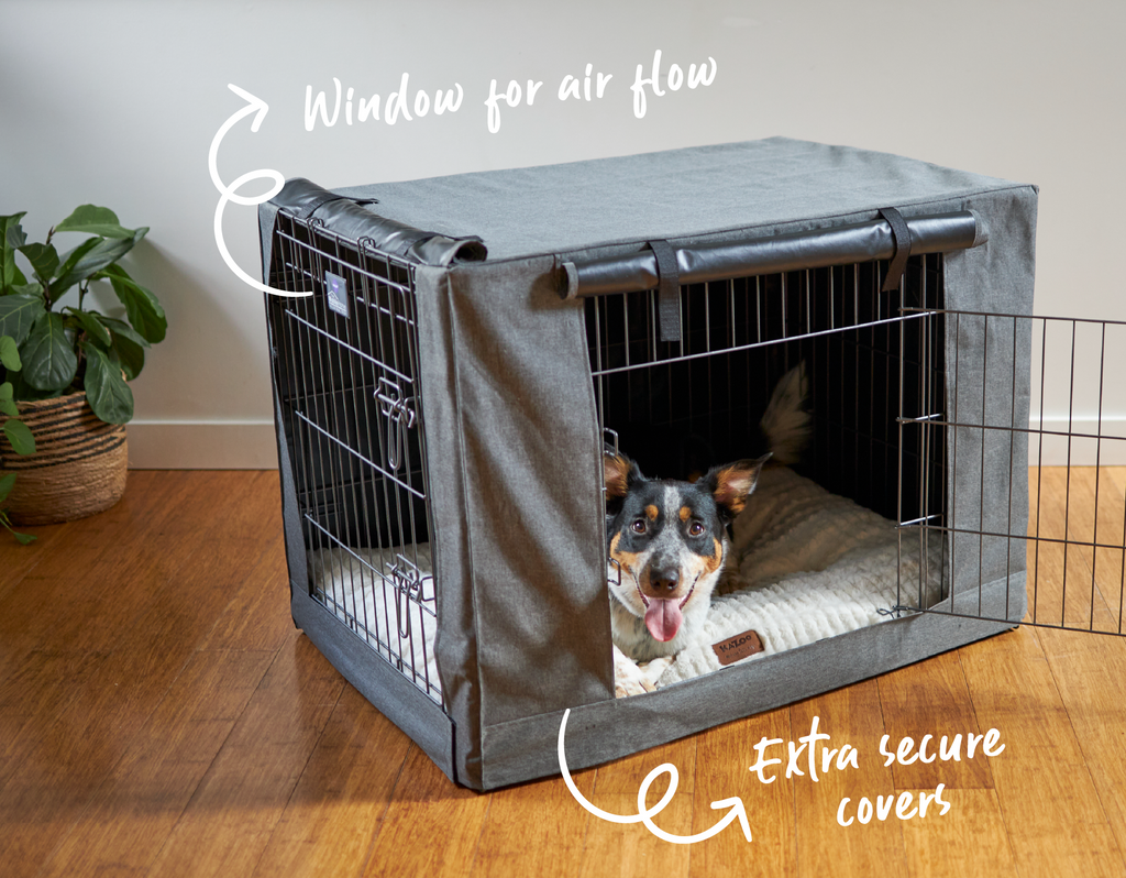 Happy dog inside a crate with a cover