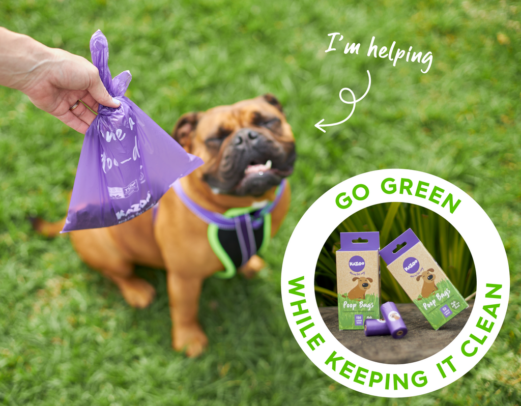 Happy dog and human holding biodegradable poop bag