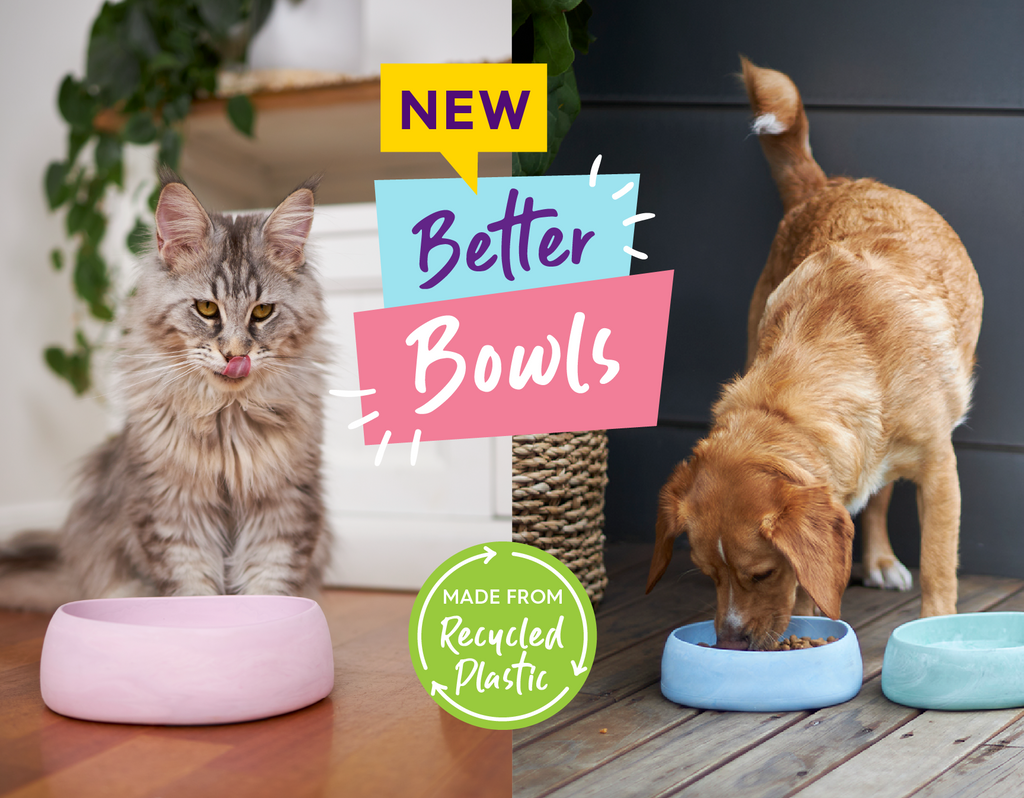 Cat and dog using the new better bowls made from recycled plastic
