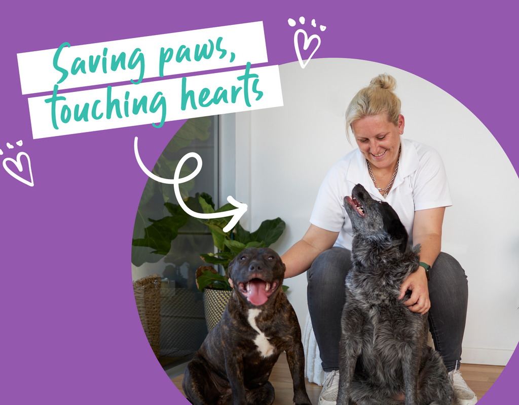 Two foster dogs with one happy human