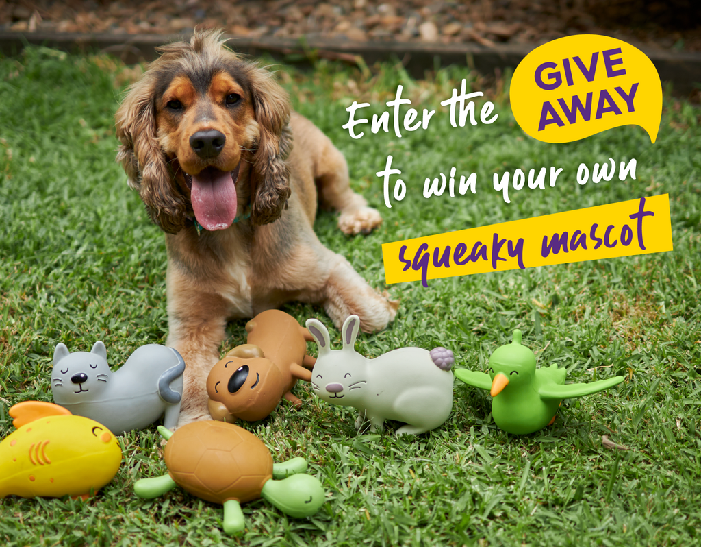 GIVEAWAY dog with all the mascots squeaky toys