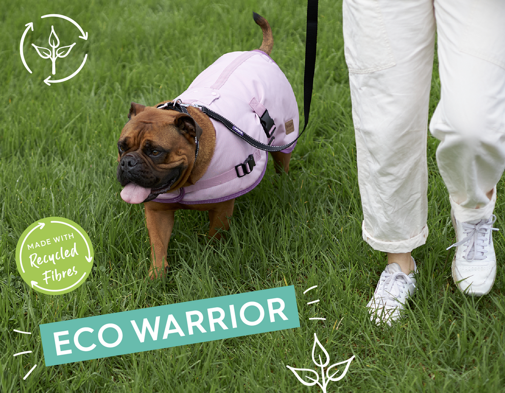 Dog wearing a pink coat and being walked on grass