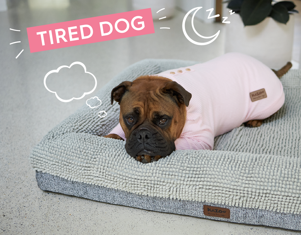 Dog sleeping on a bed wearing a pink jumper