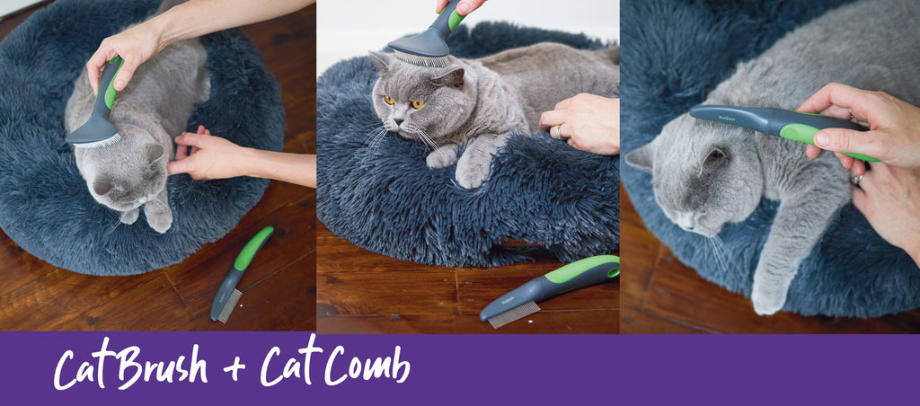 kazoo cat grooming comb and cat brush