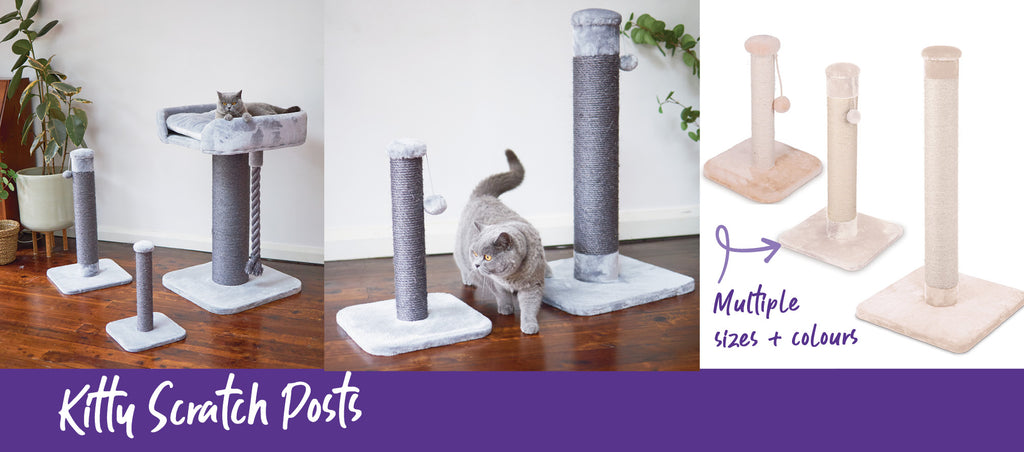 kazoo cat scratch posts