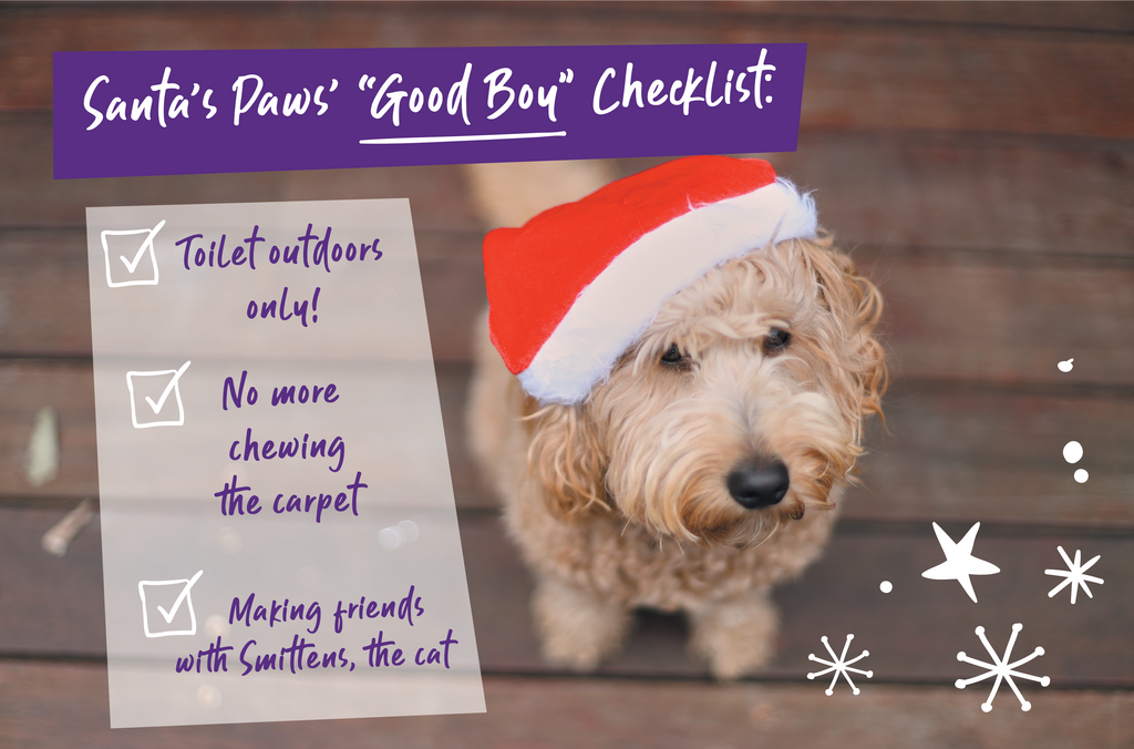 Santa paws dog with a good boy check list