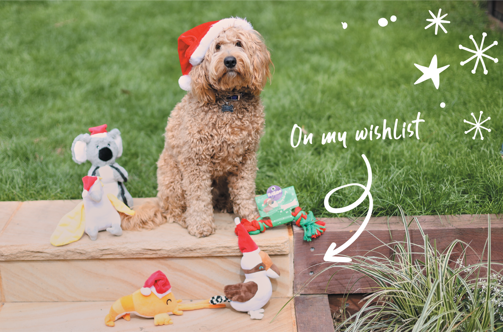 Dog with Kazoo Christmas themed dog toys