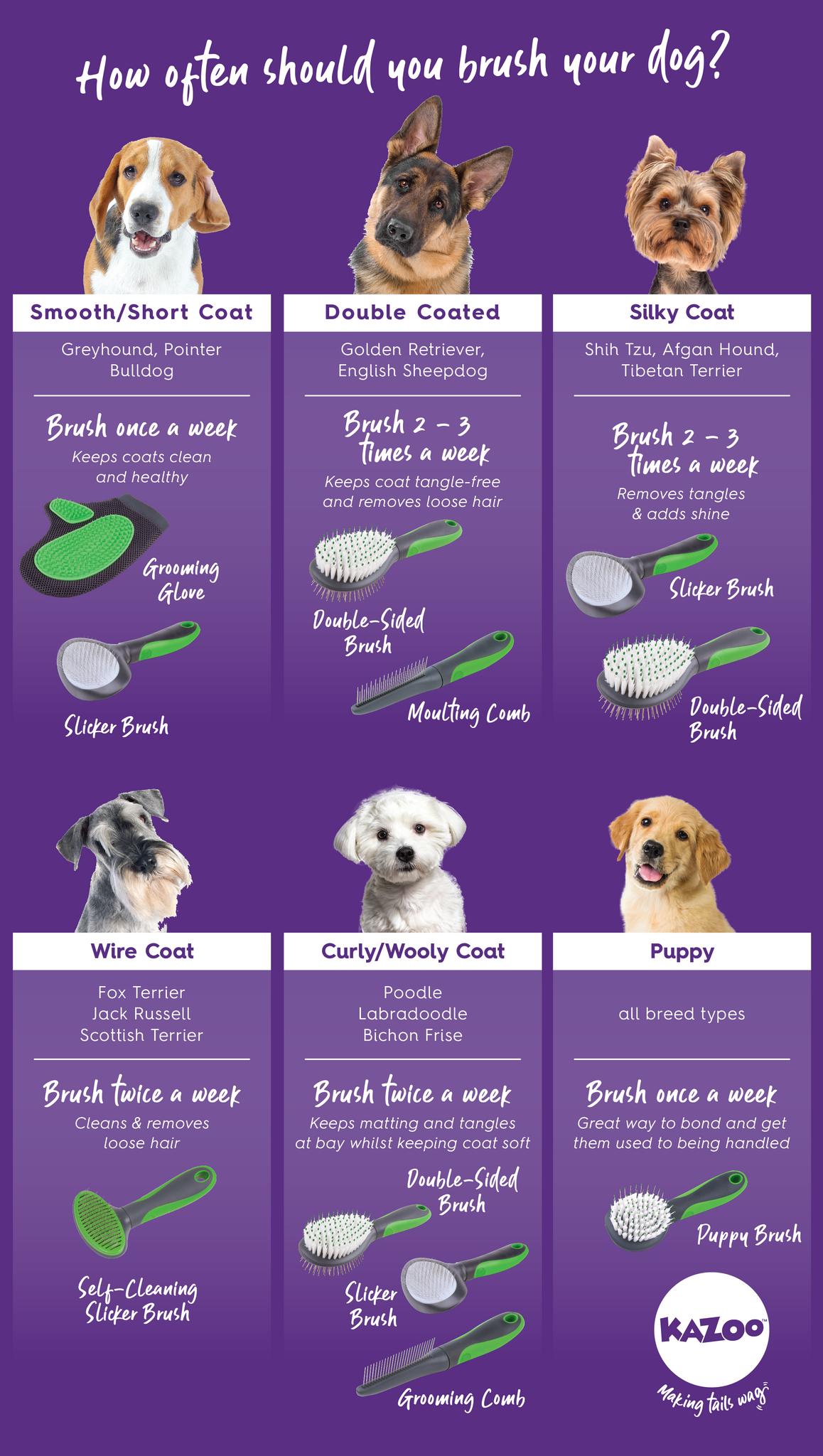 Kazoo dog brushing guide