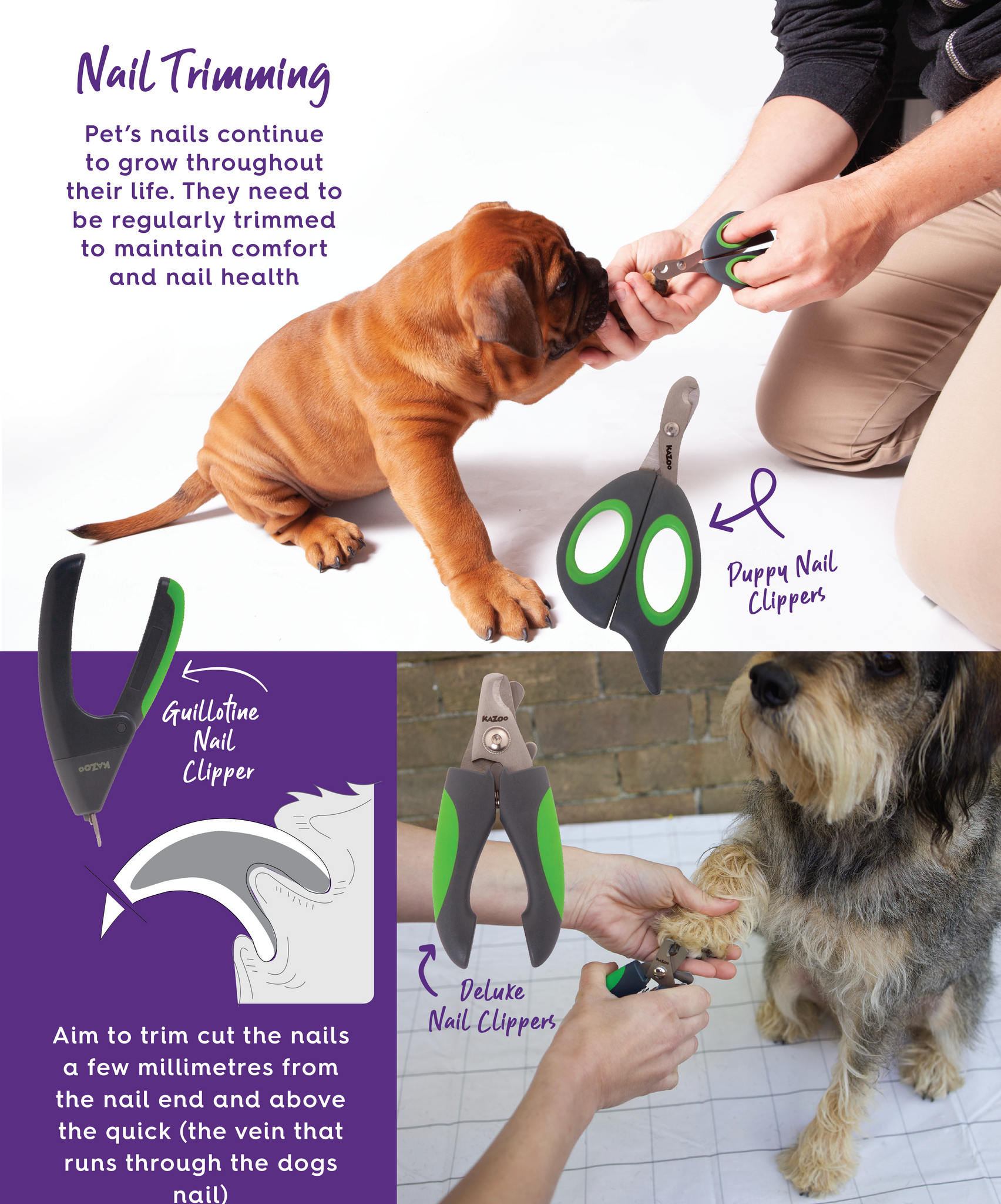 Dog nail grooming and dog nail clipping tips