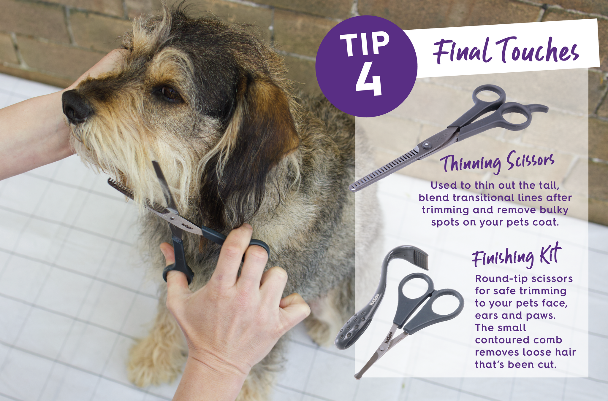 Kazoo dog grooming scissors