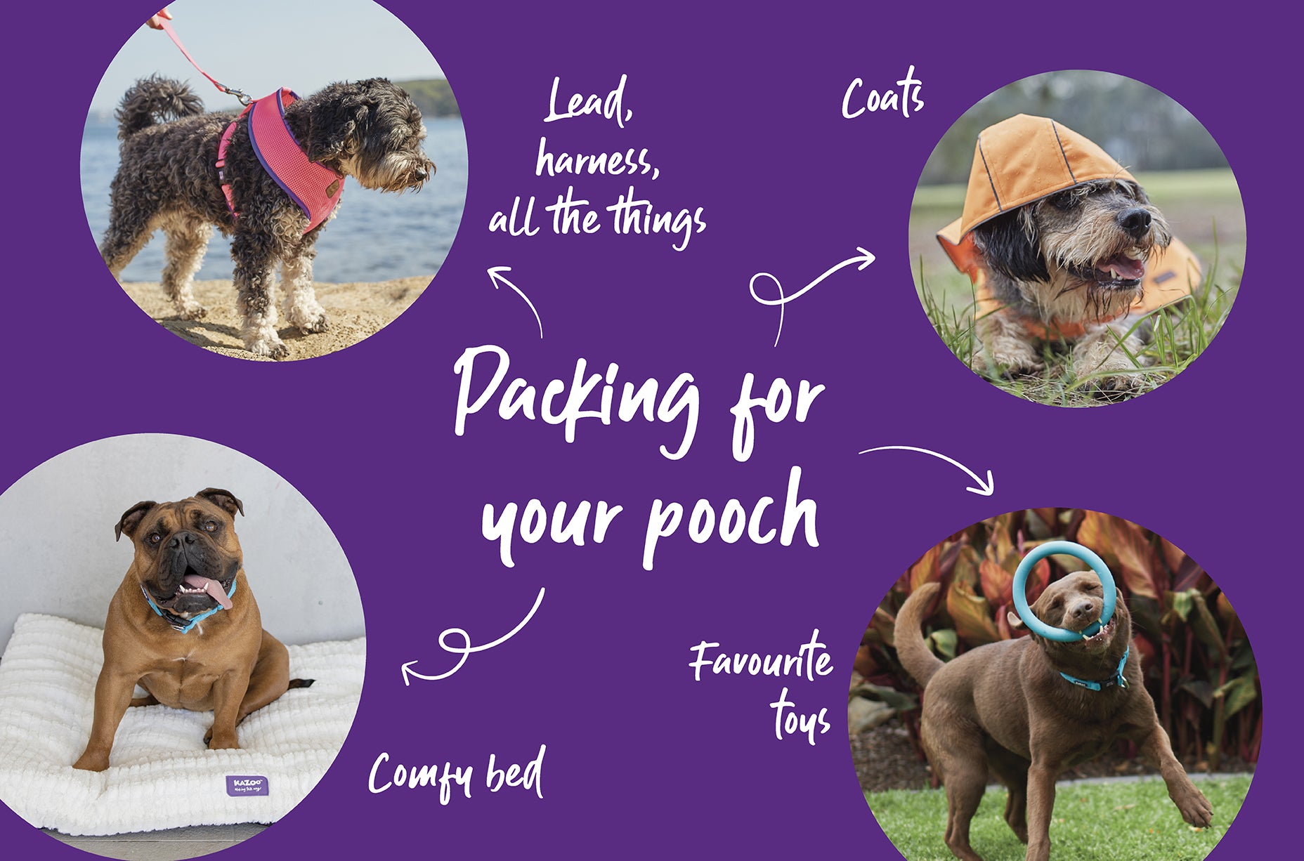 Pack for your pooch