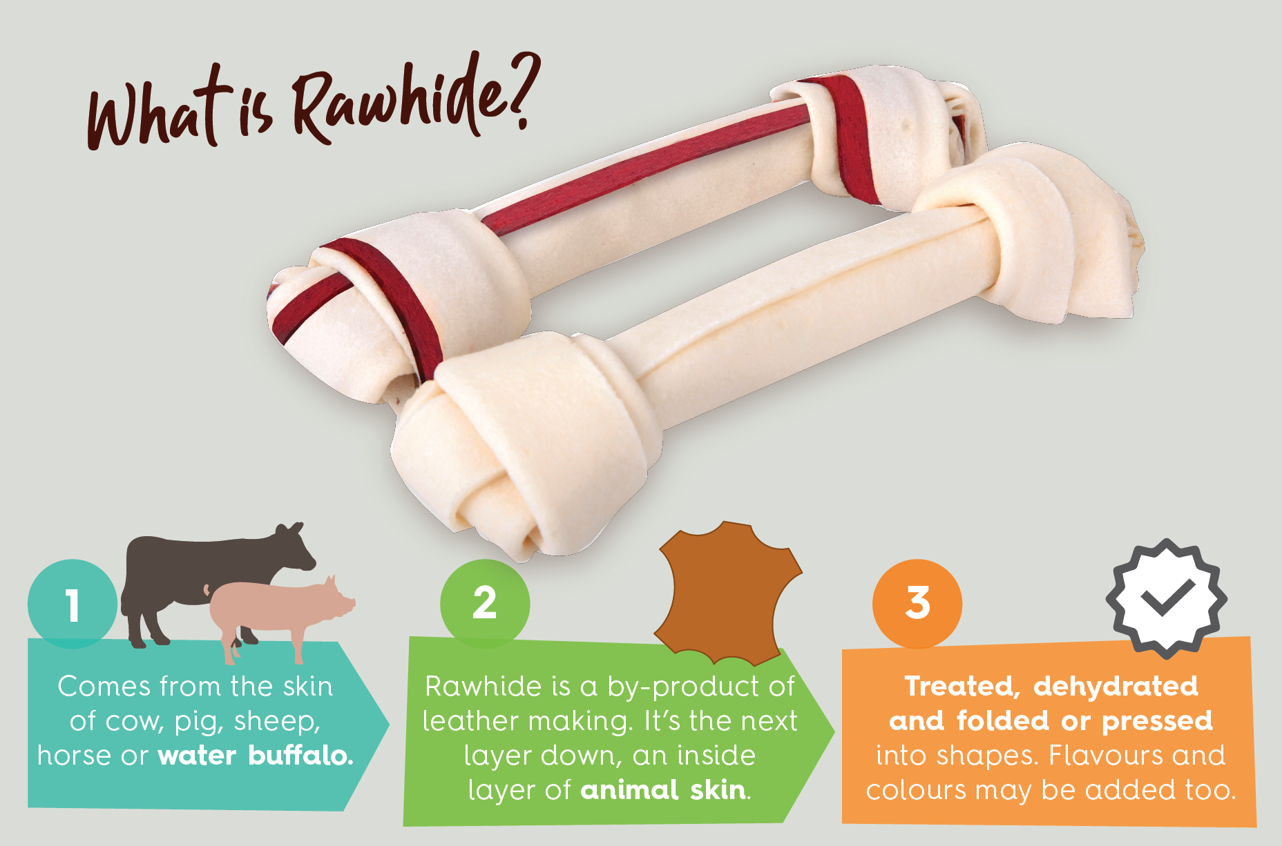 what is rawhide