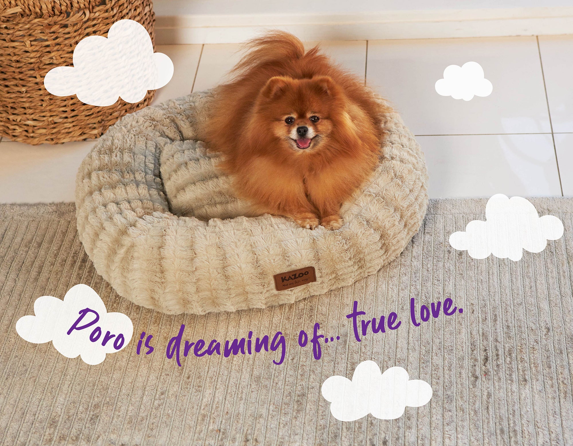 Little fluffy pomeranian on fluffy bed, 'Poro is dreaming of true love'