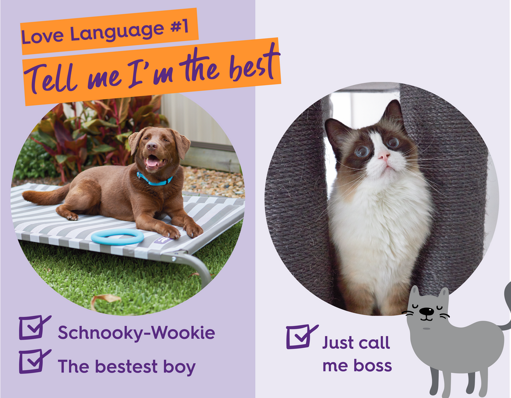 Love languages - words of affirmation for pets Kazoo