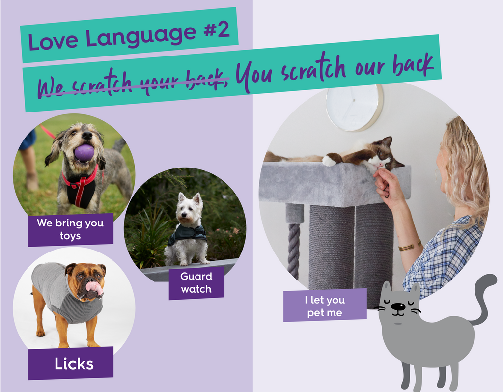 Love language 2 - acts of service for cats and dogs
