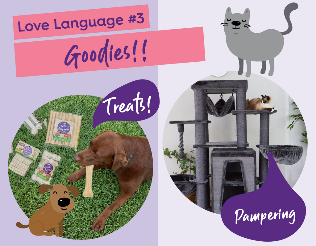 cats and dogs love language - gifts and treats