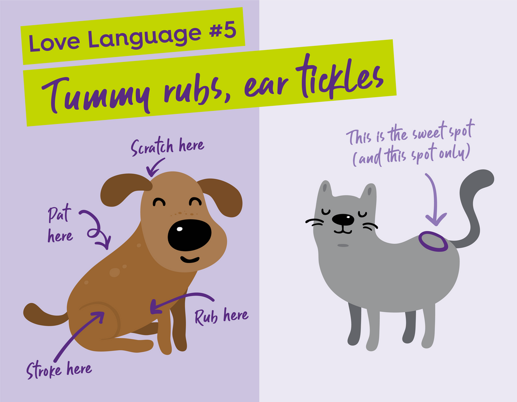 cat and dog love language - affection