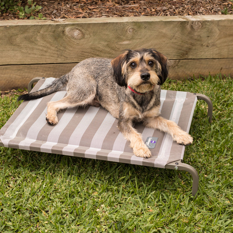 what is the best outdoor dog bedding