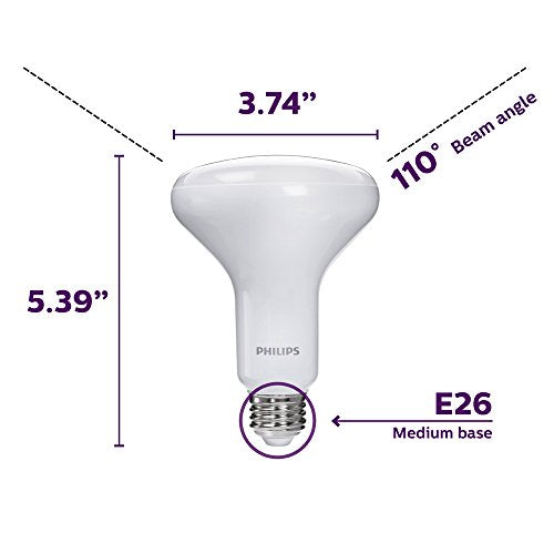 philips br30 led daylight