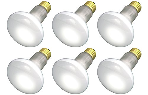 r20 spot light bulbs