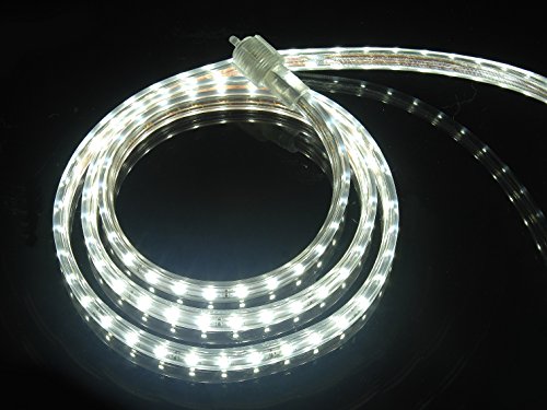 10 foot led rope light