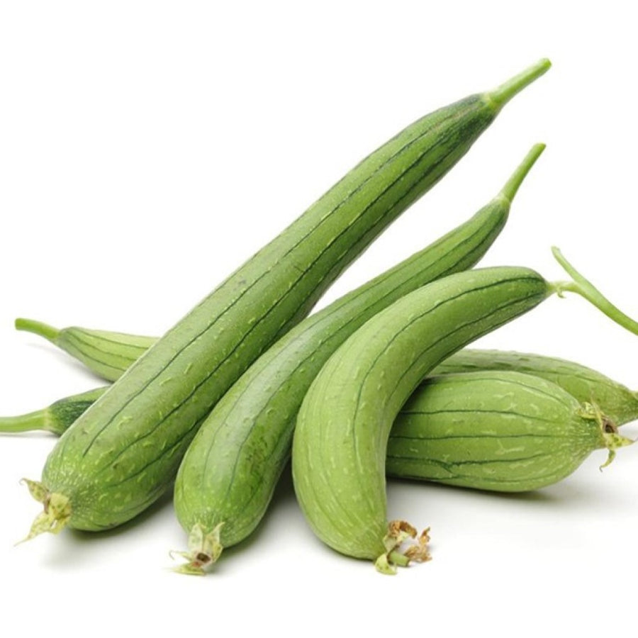 Sponge Gourd Seeds F-1 Hybrid US-301 (Light Green) – Urja Seeds