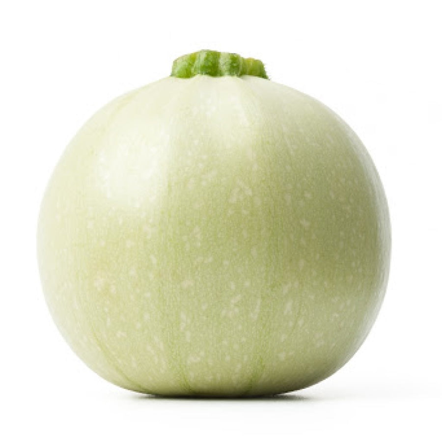 light green squash