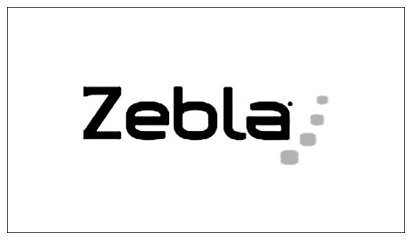 ZEBLA.jpg__PID:96a4a08f-ca86-4336-ae3a-3676fa59afee