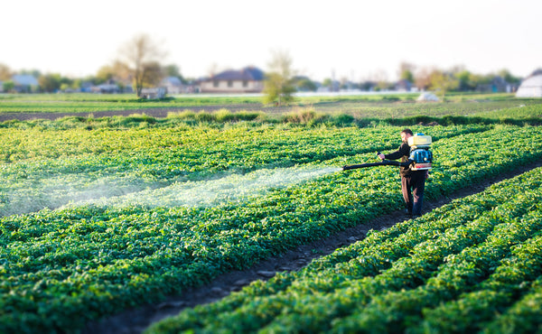 Worker spraying solution with a mosquito fogger on field. Invatech Italia