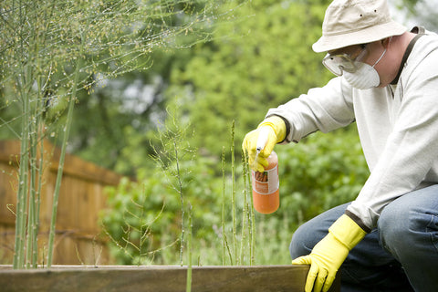 A man spraying chemicals on weeds