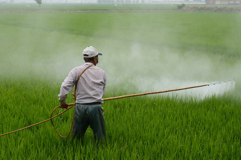 A person applying pesticides