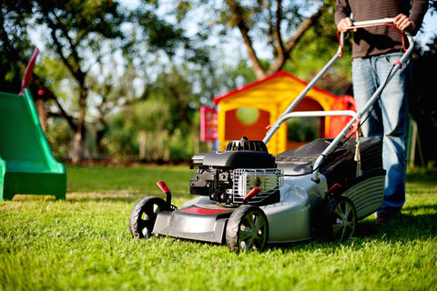 Mowing the lawn