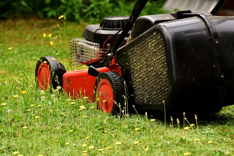 mowing the weeds