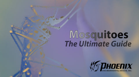 Mosquito Control Image