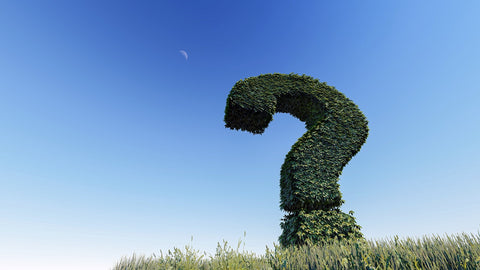 A question mark hedge