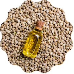 hempseed oil for skin care, inflammation, anti-aging, acne, healthy skin