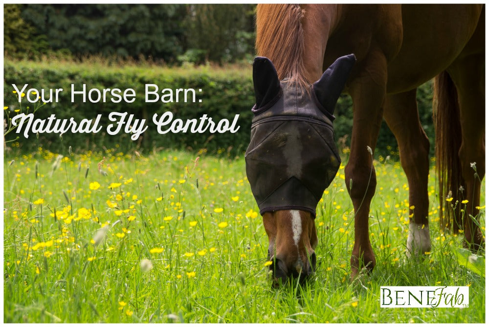 At Your Horse Barn Natural Fly Control Benefab