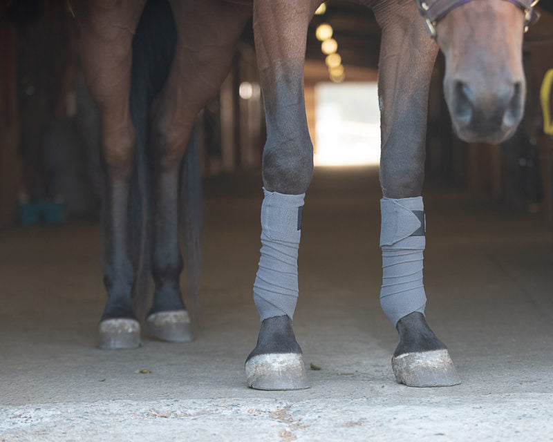 Ceramic Leg Wraps for Horses