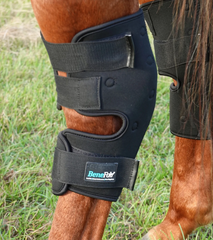 All About Horse Hocks: Care, Hock Fusion, Taking Care of Hocks - Benefab®