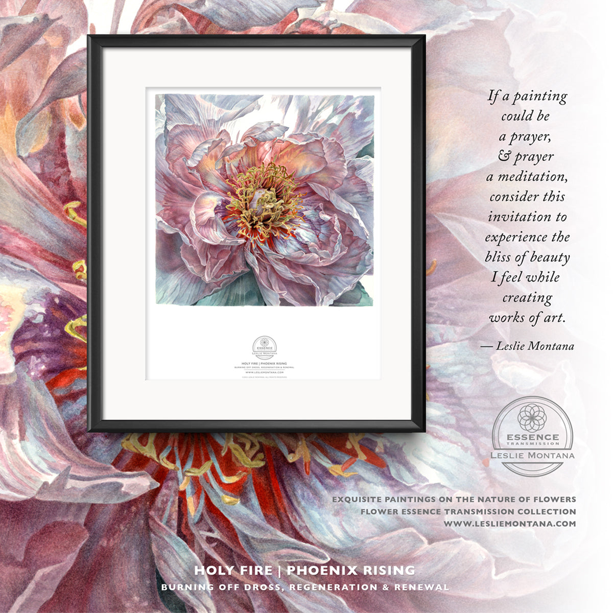 Peony, Holy Fire, Phoenix Rising, watercolor, Flower essence Transmission collection