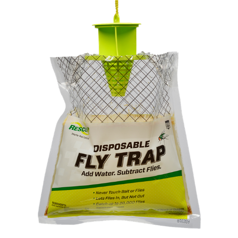 Shoppers Can't Stop Buying This 'Sleek' and 'Highly Effective' Fly  Trap