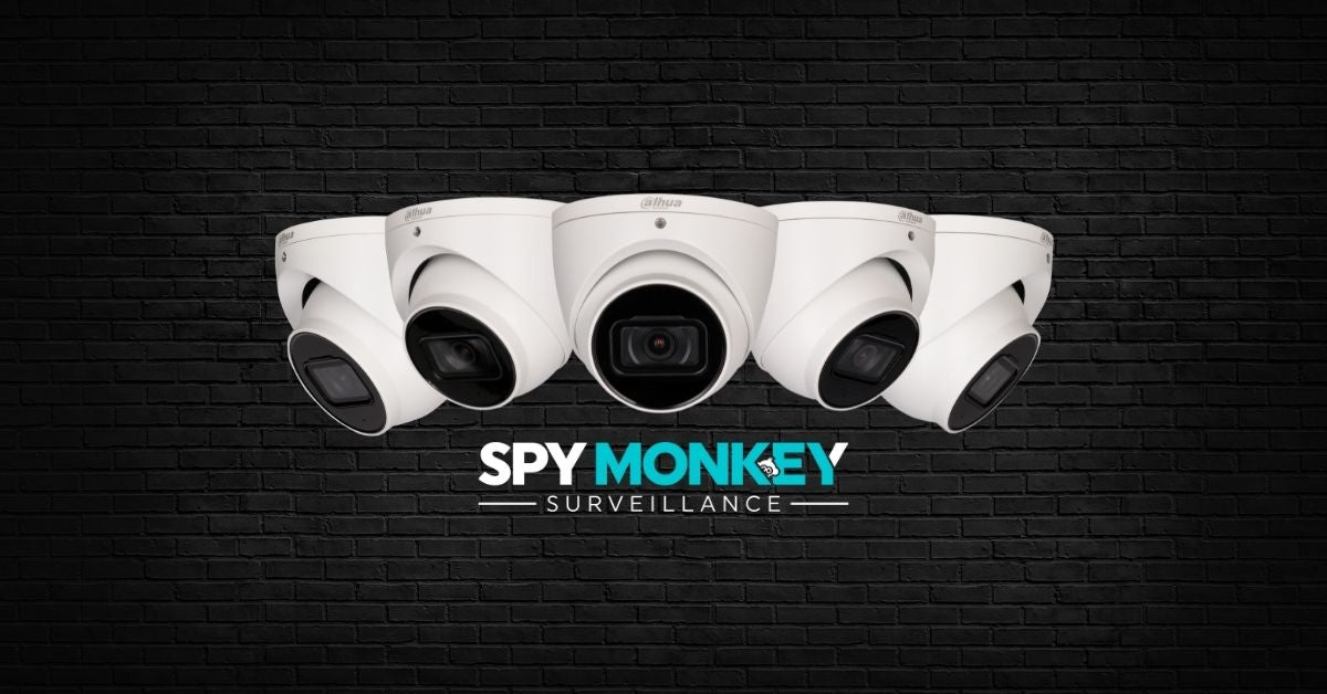 Spy Monkey Surveillance