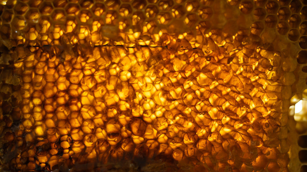 backlit raw honeycomb
