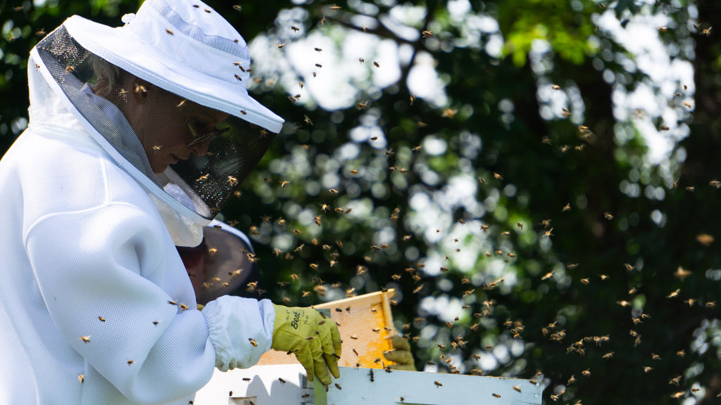 tending hives and housekeeping