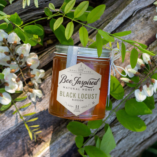 Black Locust honey with blossoms